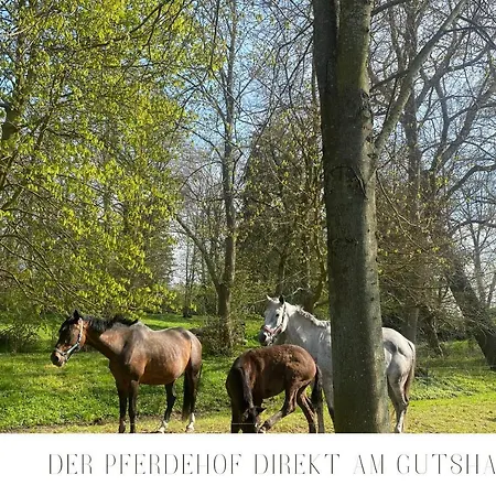 Heiderose - Kamin, Sauna & Wellness Apartamento